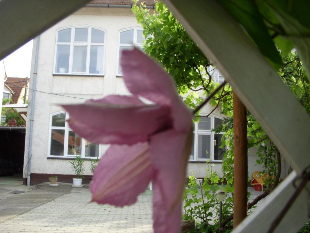 Garden Szivarvany Utcai Vendeghaz Сегед Екстериор снимка
